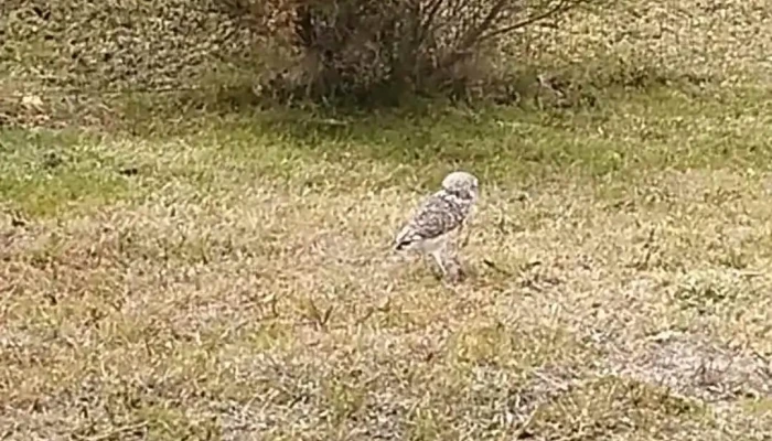 Real De San Carlos Village Golf De Los Visitantes - Buenos Aires