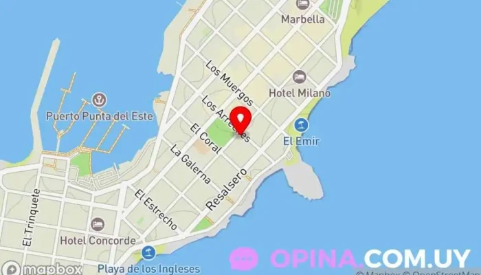 mapa de Rebeca Negocios Inmobiliarios Agencia inmobiliaria en Punta del Este