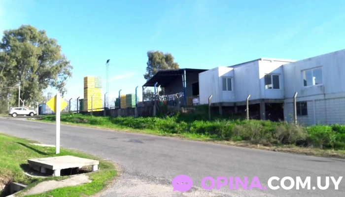 Rebuffo Hnos.- - 70000 Col. Del Sacramento