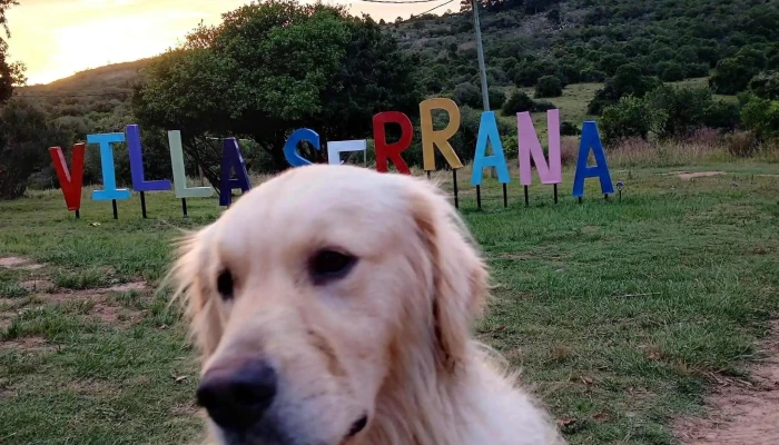 Reino Animal. Clínica Veterinaria - Minas