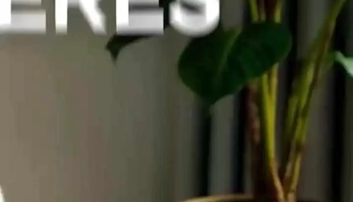 Rematador -    Tasador Gabriel Llano Agente Inmobiliario Asociado Kwred Carrasco Mas Recientes - Montevideo