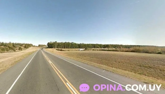 Remate la chinchilla 2 - 15600 Departamento De Canelones