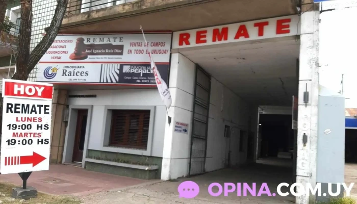 Remate Ruiz Diaz - Paysandú