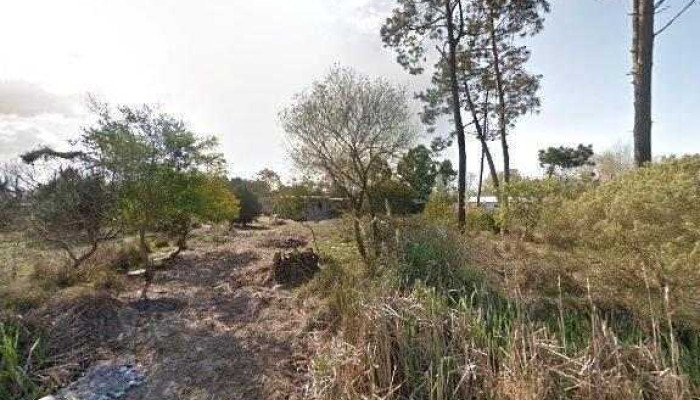 Renuevos Papeleria Regaleria Promociondeg - Departamento de Canelones