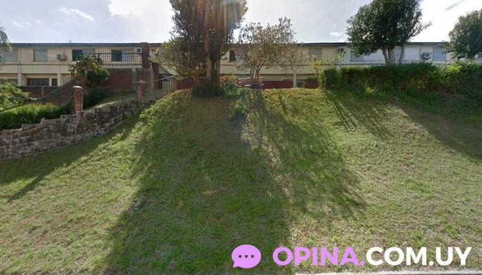 Renzo - 40000 Rivera