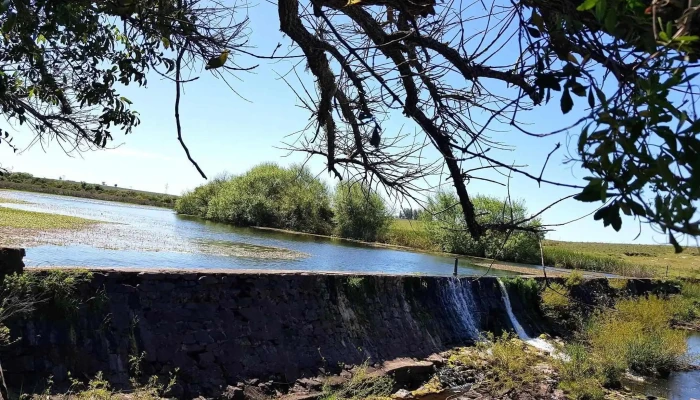 Represa/Parque - Av. Gral. Artigas