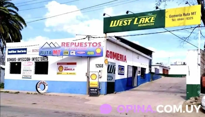 Repuestos Ruta Mt Automóviles - 30000 Minas