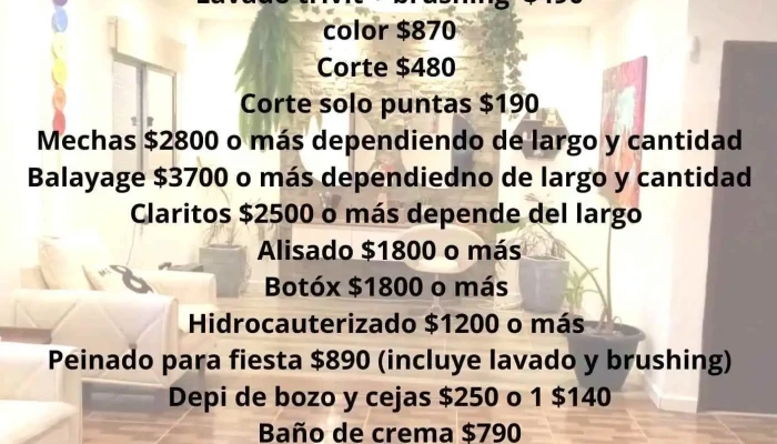 Resiliencia Salón de belleza - 15600 Pando