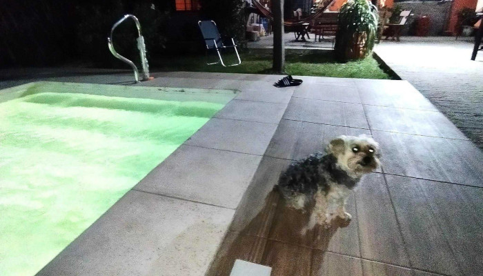 Rgm Negocios Inmobiliarios -  Montevideo - Montevideo