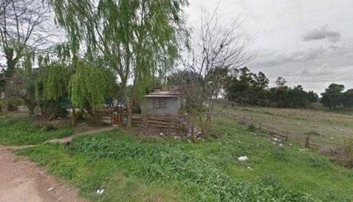 Ricali -  Promociondeg - Joaquín Suárez