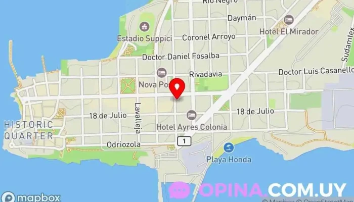 mapa de Richard Brunelli Agencia inmobiliaria en Col. del Sacramento