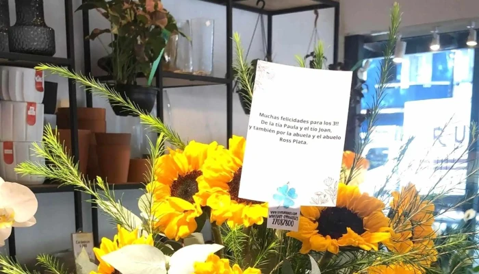 Rivera Flores -  Abierto Ahora - Montevideo