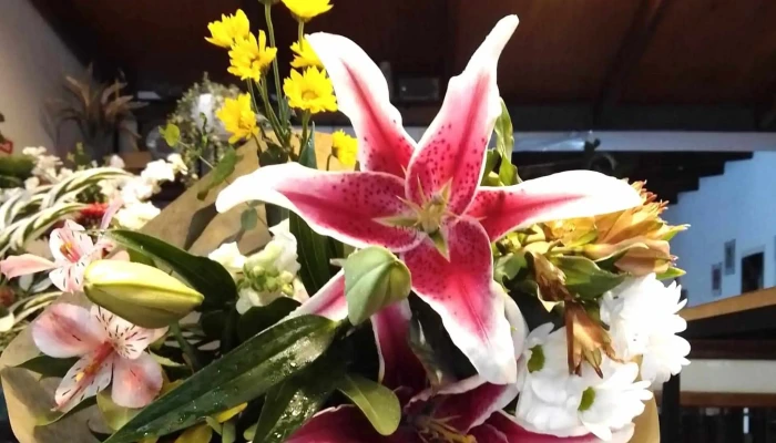 Rivera Flores -  Comentarios - Montevideo