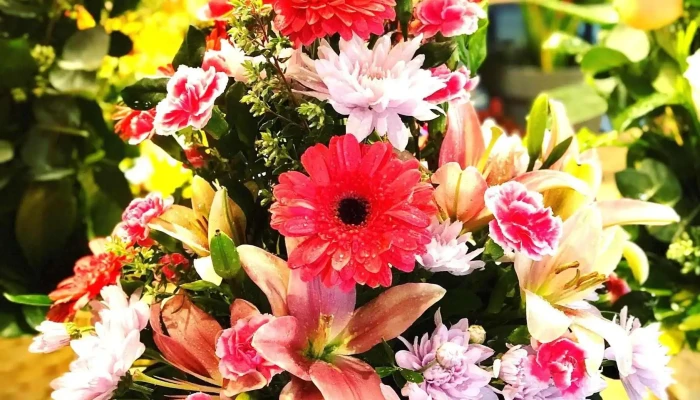 Rivera Flores -  Del Propietario - Montevideo