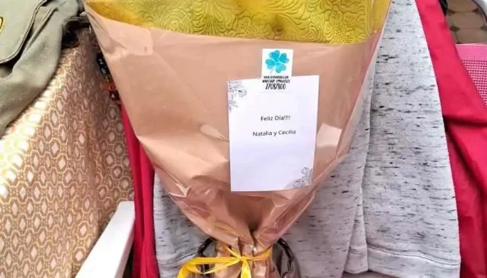 Rivera Flores -  Mas Recientes - Montevideo