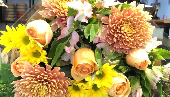 Rivera Flores -  Montevideo - Montevideo