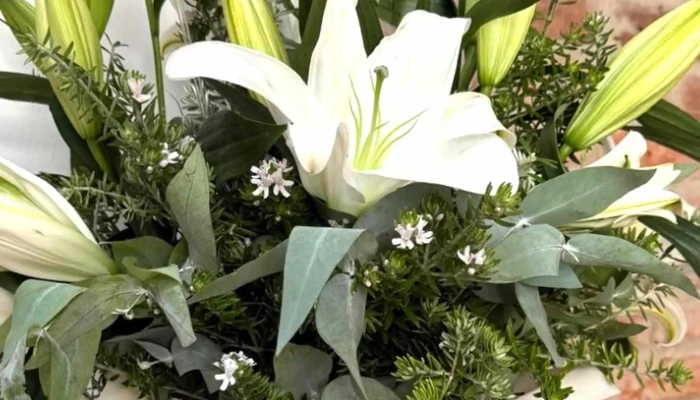 Rivera Flores -  Puntaje - Montevideo