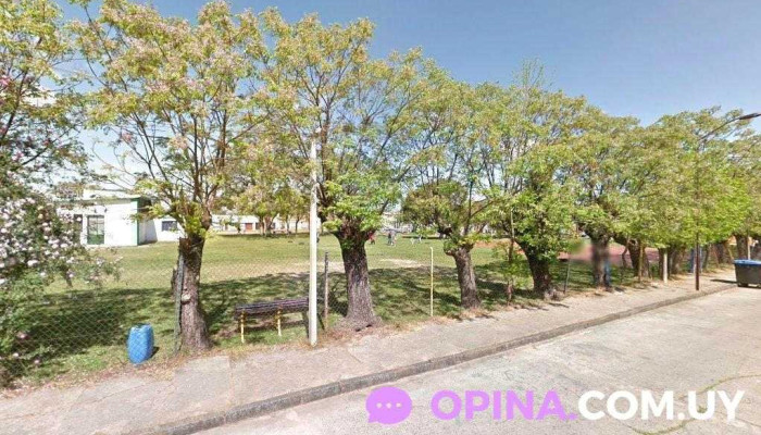 Rocío asaneli - 70200 Rosario