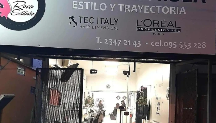 Rosa Estilista - Ruta 1 Vieja 1891