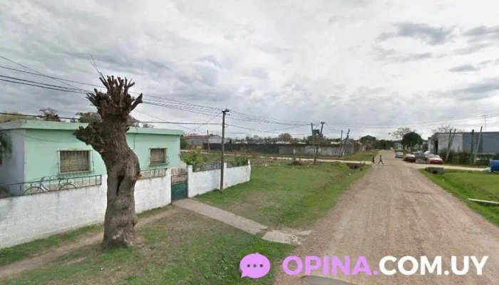 Rosalenahairdefinition - 90200 Santa Lucía