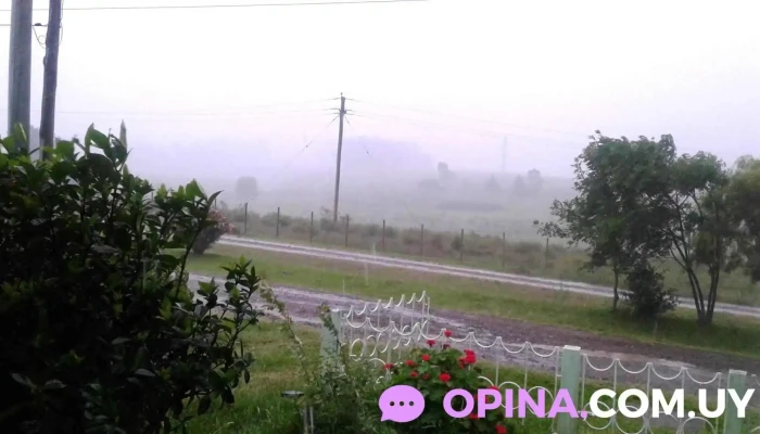 Rotiseria Marita - 30300 José Pedro Varela