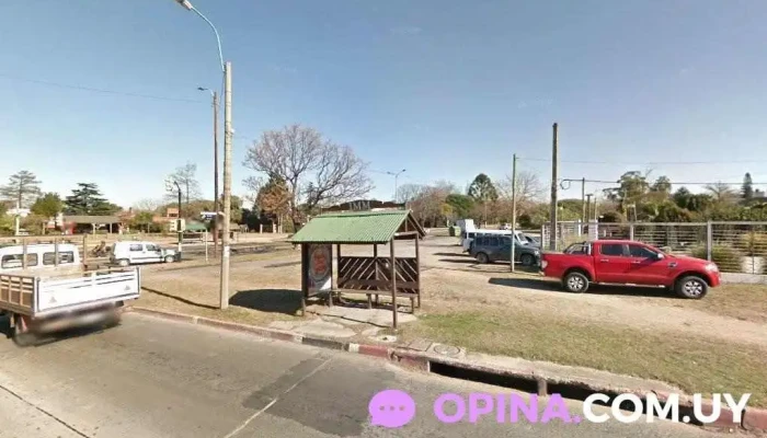 Royal Studio - Departamento De Montevideo