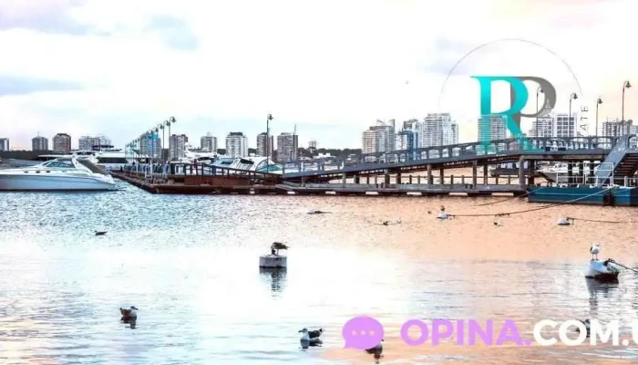 Rp Real Estate -  Promocion - Maldonado