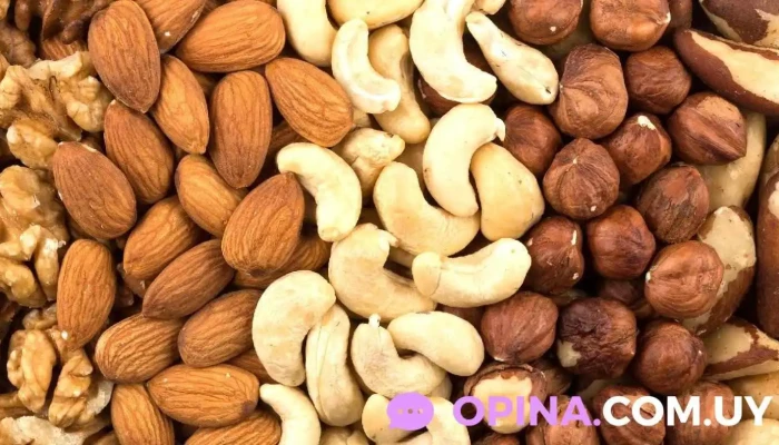 Rumbo Este - Ciudad De La Costa