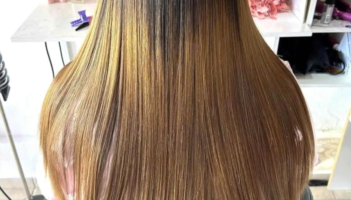 SagittariusProgresivos - Av. Gral. Jose Gervasio Artigas Y