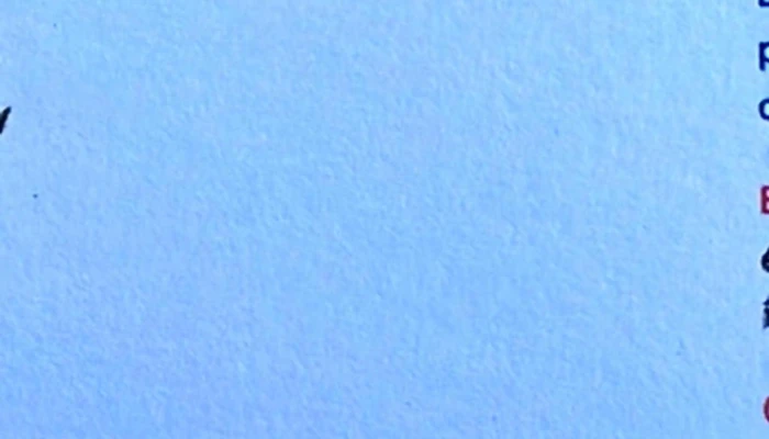 Salon Av Del Parque Catalogo - Montevideo