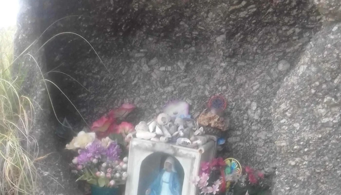 Salón Dalí - Progreso