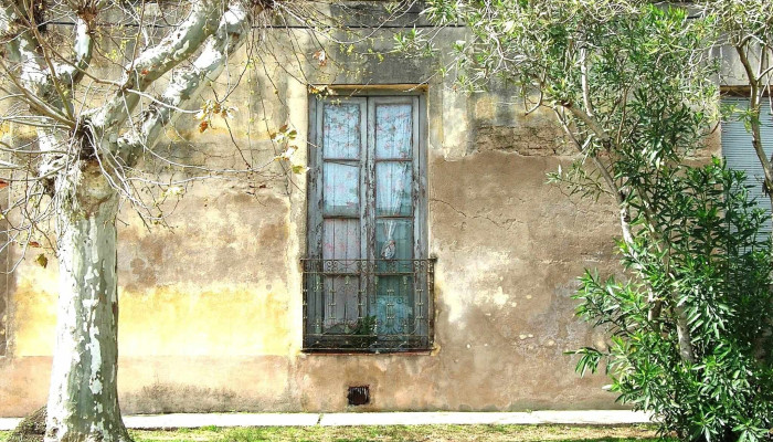 San Bautista:  Todo - Restaurante