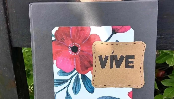 San Jacinto - 91600 San Jacinto