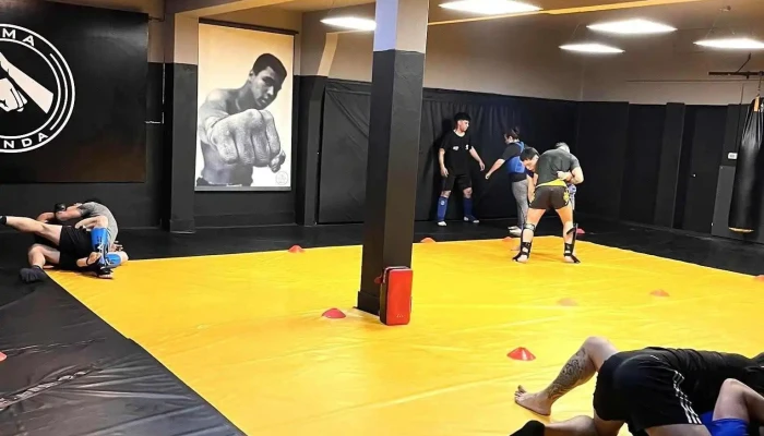 Sanda Mma Uy Precios - Atl&aacute;ntida