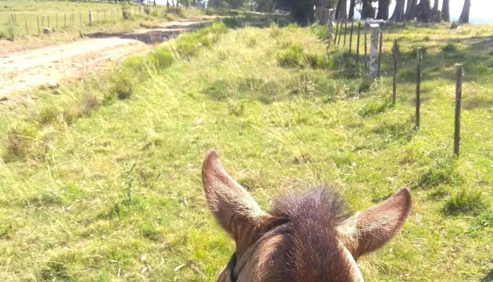 Santa Cecilia -  Horario - Santa Clara de Olimar