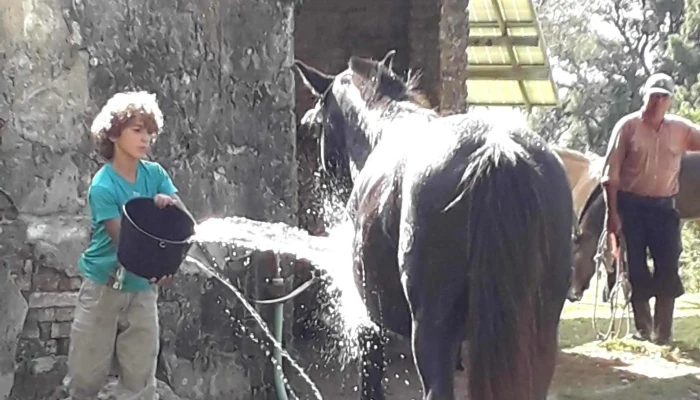 Santa Cecilia - Santa Clara De Olimar