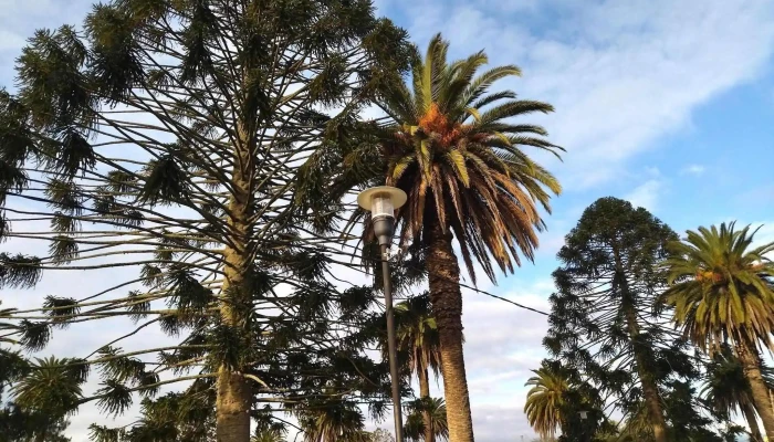 Santa Rosa Canelones:  De Los Visitantes - Posada