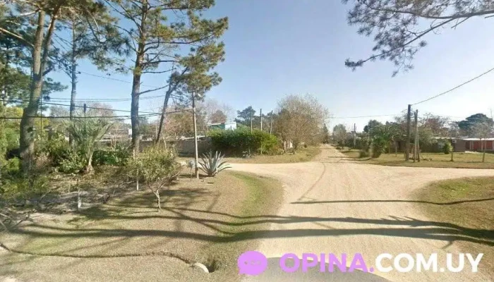 Saphyra's Institute - Ciudad De La Costa