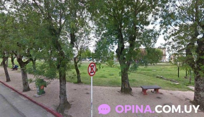 Sarandi Mascotas - 94100 Sarandí Grande