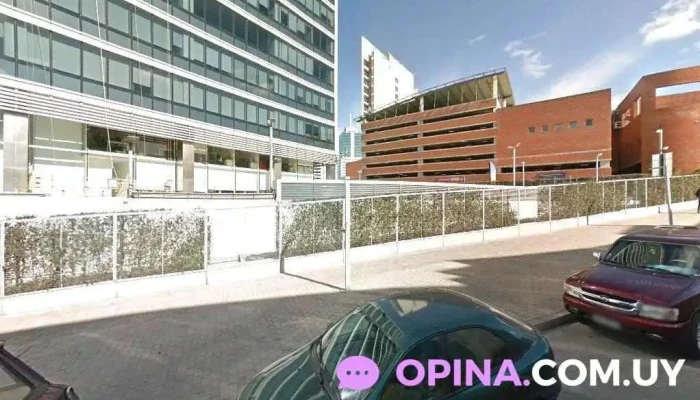 Schwarzkopf Professional Ask Academy - Montevideo