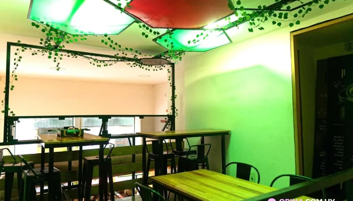 Seis:  Ambiente - Pub restaurante