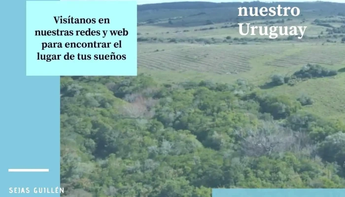 Sejas Guillen Negocios Inmobiliarios Paisaje - Minas