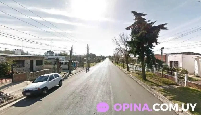 Selene Gea - 70000 Col. Del Sacramento