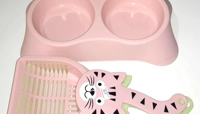 Semilleria San Javier Nadia Novac Interior - San Javier