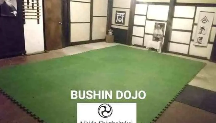 Sento Aikido   Bushin Dojo Del Propietario - Parque del Plata