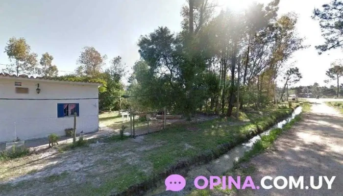 Sentō Aikido - Bushin Dojo - Parque Del Plata