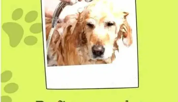 Ser Animal / Carrasco Norte - Departamento De Montevideo