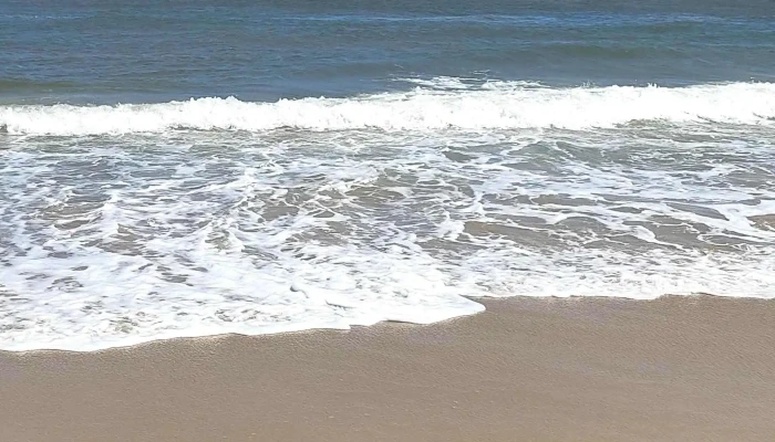 Serena Del Lago -  Numero - La Paloma