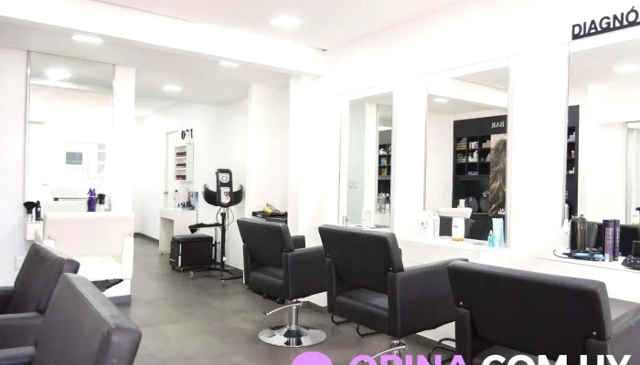 Serendipity Hair-MVD Intercoiffure - Bv. España Esq