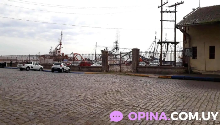 Serviço de Vigilância Sanitária - - Km 650 - Nasser